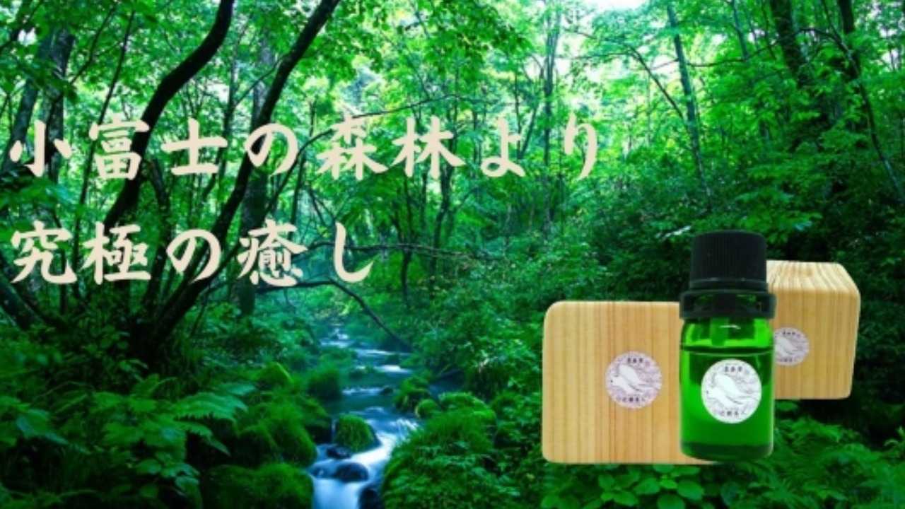 伝統和風ハーブなどの高品質な素材を活かした健康商品を手掛ける企業のHPブラッシュアップにお力をお貸しください